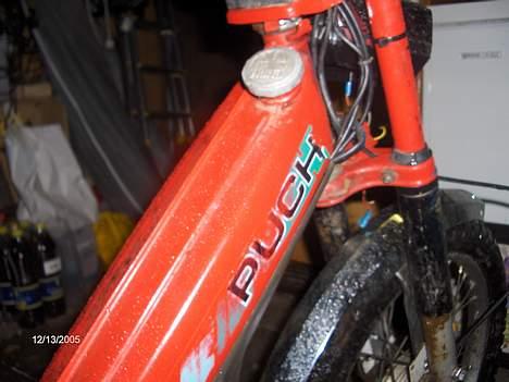 Puch Maxi KL solgt billede 8