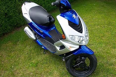 Peugeot Speed Figth -=Solgt=- billede 2