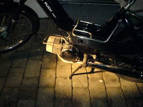 Puch Maxi  billede 3