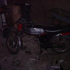 Puch                     Monza