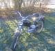 Puch MS50