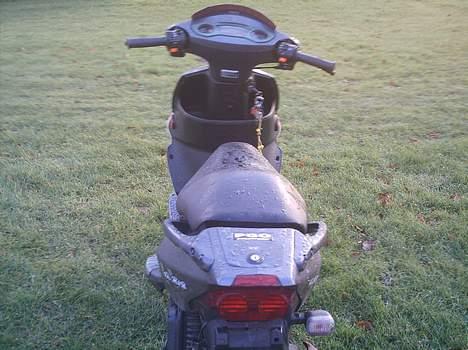 PGO Dr big (solgt) billede 10