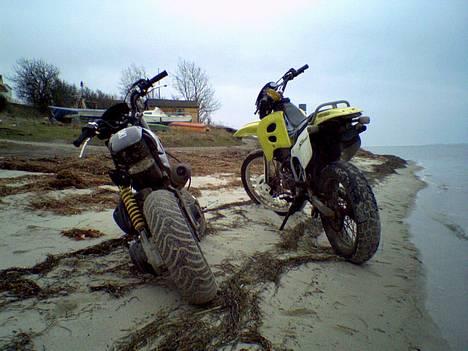 Suzuki smx før ranoveringen billede 3