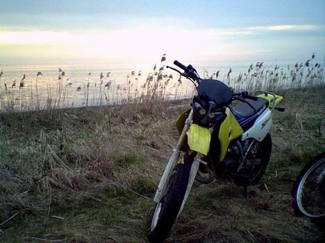Suzuki smx før ranoveringen billede 6