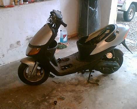 Siamoto birdie 50 Byttet væk - der har vi jo den kommende skøndhed.. :)  billede 7