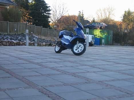 Benelli 491(SOLGT) billede 6