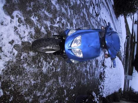 PGO Dr Dig [Team Ringe] billede 2