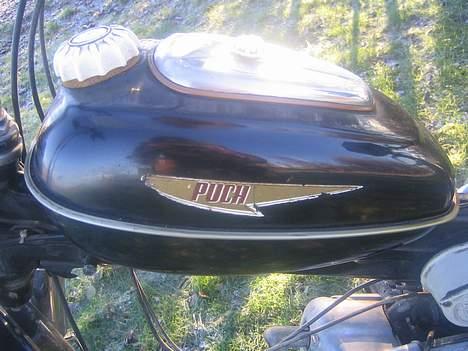 Puch MS50 billede 7