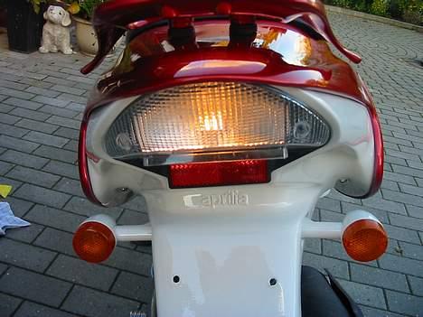 Aprilia rally  billede 12