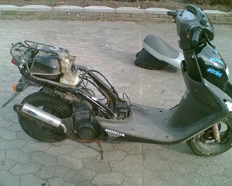 Honda sfx. solgt. - havde lige det bagerste skjold a. billede 12