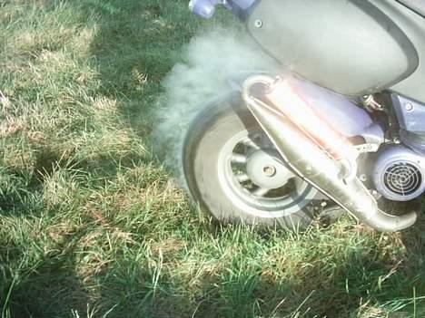 Aprilia Rally (solgt) billede 6