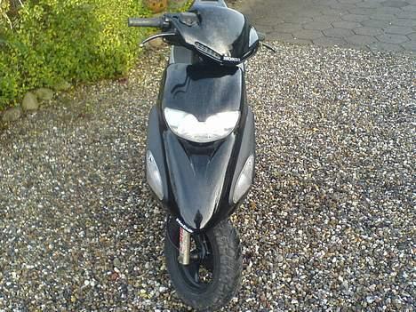 Honda SFX billede 4