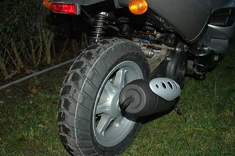 Benelli 491 billede 2