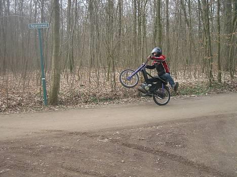 Puch maxi 2-gear - På baghjul nede i skoven  billede 2