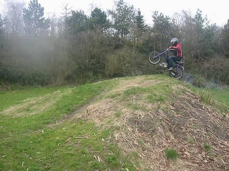 Puch maxi 2-gear billede 5