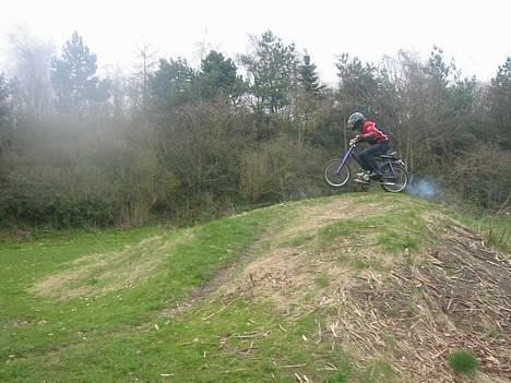 Puch maxi 2-gear billede 6