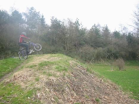 Puch maxi 2-gear billede 7