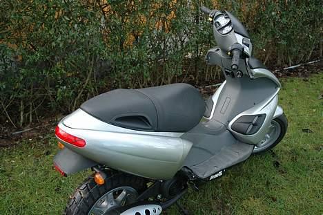 Benelli 491 billede 6