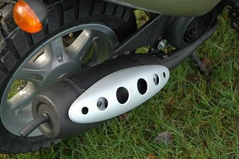 Benelli 491 billede 7