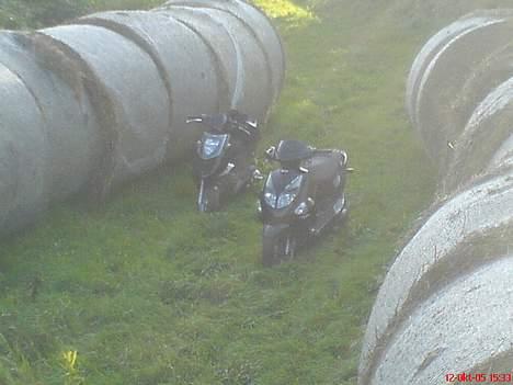 PGO Dr. big! byttes for sonic billede 1