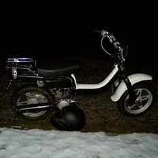 Suzuki Fz Projekt SOLGT