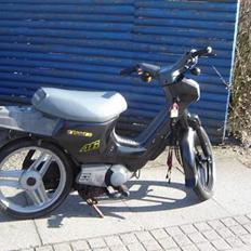 Honda wallaroo (SOLGT) 