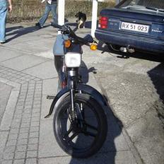 Honda wallaroo (SOLGT) 