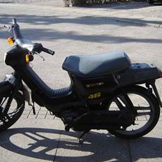 Honda wallaroo (SOLGT) 