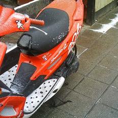 Peugeot speedfight 2 wrc(solgt)