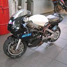 MiniBike POLINI 910 Steel
