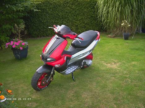 Gilera Runner AC!! TIL SALG - klar til als træffet 2006 billede 2
