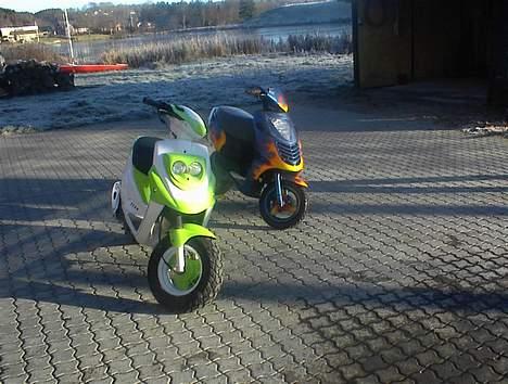 PGO hot 50 billede 14