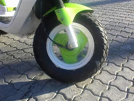 PGO hot 50 billede 16