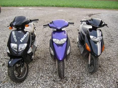 Honda sfx slogt billede 14