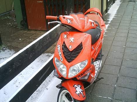 Peugeot speedfight 2 wrc(solgt) billede 2