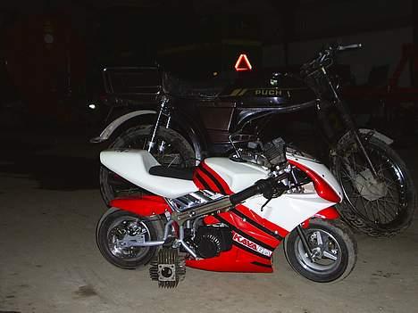 MiniBike kavaba solgt billede 2