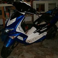 Peugeot speedfight 2 (SOLGT)