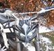 Suzuki street magic SOLGT
