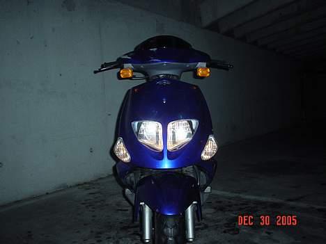 PGO Dr. Big 'Det Blå Svin' billede 7