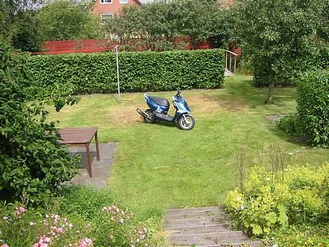 Aprilia Sonic Gp til salg billede 16