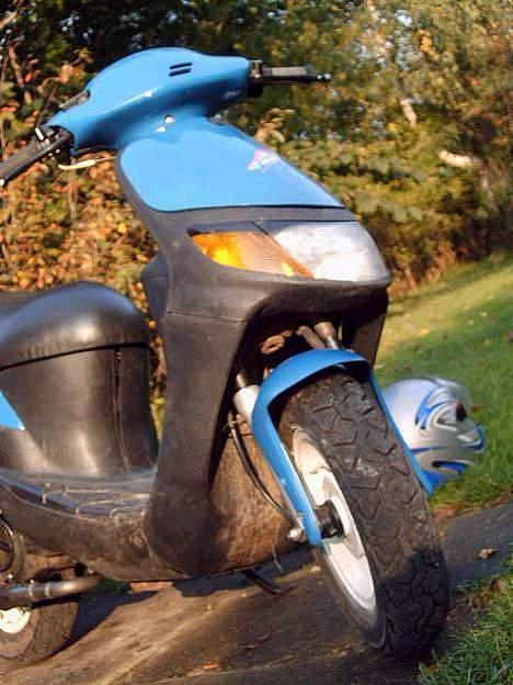 Siamoto birdie billede 1