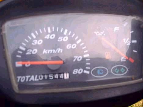 Siamoto birdie billede 2