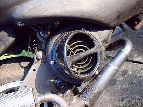 Siamoto birdie billede 3