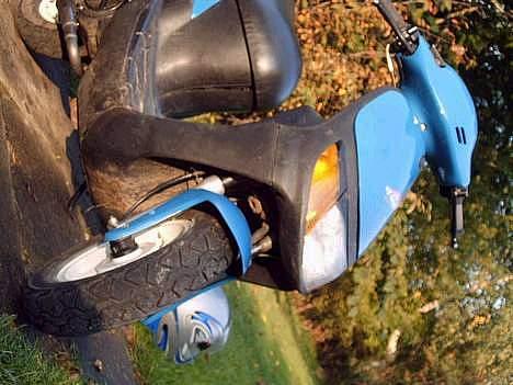 Siamoto birdie billede 4