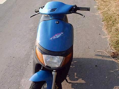 Siamoto birdie billede 5