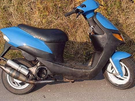 Siamoto birdie billede 6