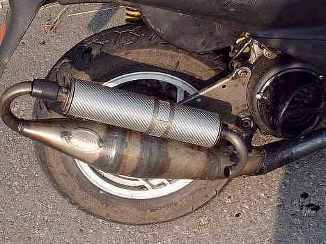 Siamoto birdie billede 7