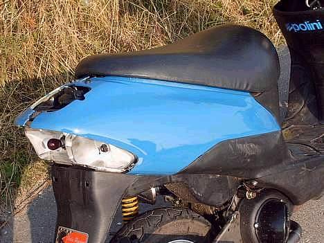 Siamoto birdie billede 8