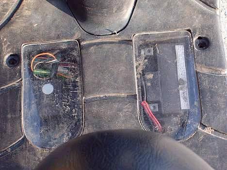 Siamoto birdie billede 10