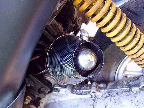 Siamoto birdie billede 11